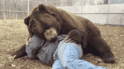 cuddles GIF
