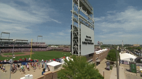 College Baseball GIF by NCAA Championships