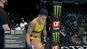 Jessica Andrade Sport GIF by UFC