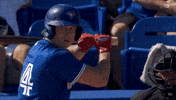 Home Run Win GIF by Toronto Blue Jays