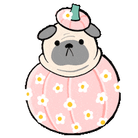 Dog Pink Sticker by Stefanie Shank