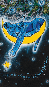 Tarot Spirituality GIF by Colette Baron-Reid