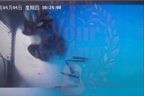 Insight_video giphyupload GIF