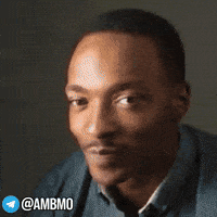Anthony Mackie GIF