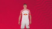 Happy Oh Yeah GIF by RB Leipzig