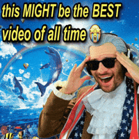 Best Video GIF