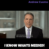 New York Vote GIF by Andrew Cuomo