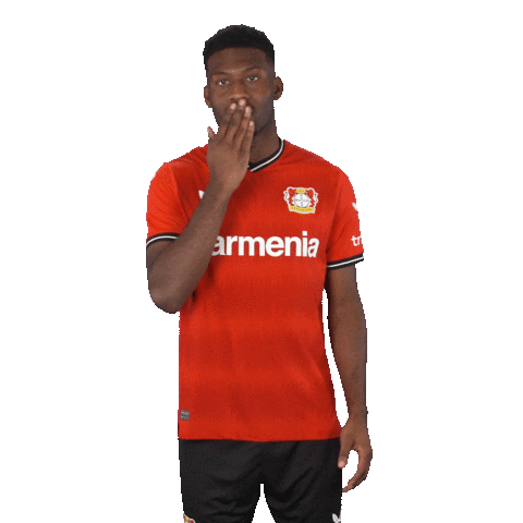 I Love You Kiss Sticker by Bayer 04 Leverkusen