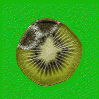 Sick Kiwi GIF