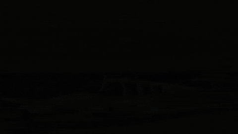 GIF by Little Wings Australia