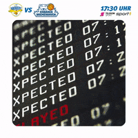game on flight GIF by easyCredit Basketball Bundesliga