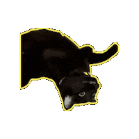 I Give Up Sticker by Rod Kim