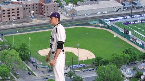 Baseball Warriors GIF by WinonaStateATH