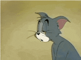sleepy cat GIF