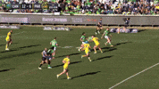 Nrl GIF by Canberra Raiders