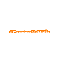 CarpenaTeam carpena carpenateam carpenainsta teamcarpena Sticker