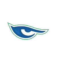 HalconesUVFootball uv halcones halconesuv Sticker