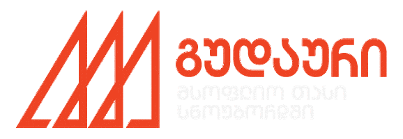 Georgia Fis Sticker by MtaSki