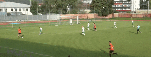 FanaTicks giphyupload GIF