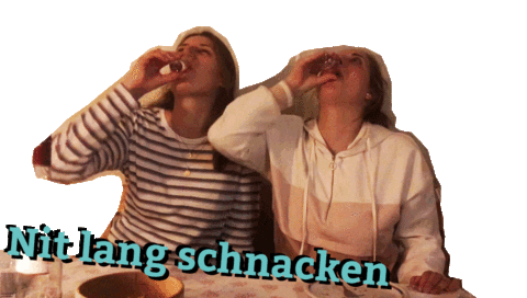 Settchesball giphyupload karneval fastnacht settchesball Sticker