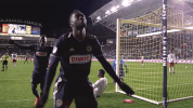goal celebration doop GIF by Philadelphia Union