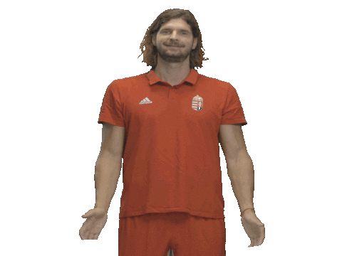 Hungary Kézilabda Sticker by Watch Games. See More.