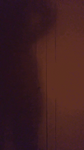 latoussaint giphyupload GIF