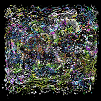 Art Loop GIF