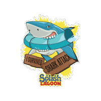 splashlagoon shark attack water slide splash lagoon splash lagoon water park Sticker