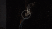 Film Cine GIF by Diamond Films Latam