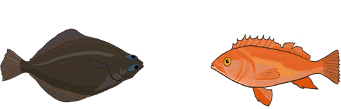 Fish Fishing Sticker by Positively Groundfish