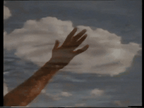 Handinthesky GIF by Wilderness Society