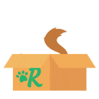 cat surprise Sticker by Rover.com