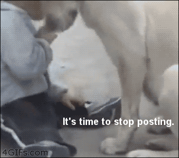 time posting GIF