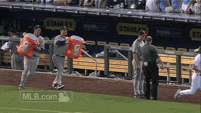 andrew albers baseball GIF by MLB