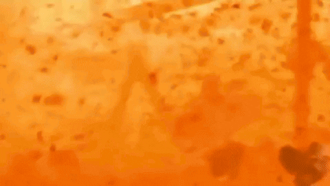 posterity giphyupload GIF