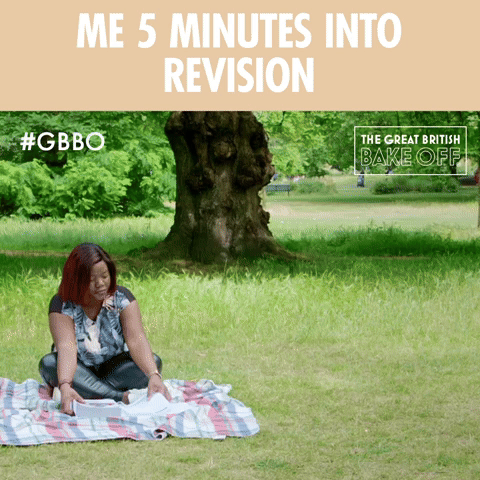 Revision