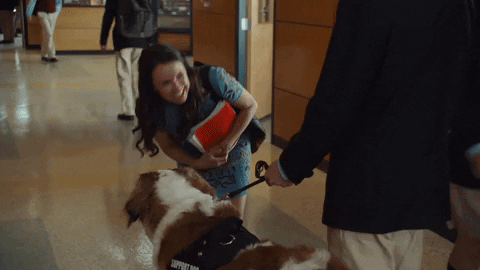 season 8 squee GIF