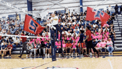 Stu GIF by STUMiami