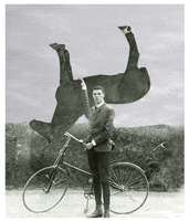 Horse Spinning GIF by GIF IT UP