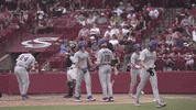 Home Run Celebration GIF by LSU Tigers