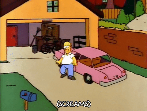 homer simpson GIF