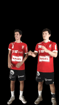 TSVZizishausenHandball celebration team handball handballplayer GIF
