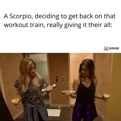 mypawp giphyupload GIF