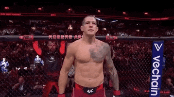 Mixed Martial Arts Sport GIF by UFC