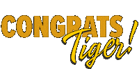 Congrats Admittedstudent Sticker by Towson University
