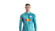 The Wall Football Sticker by RB Leipzig