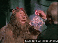 lion gets GIF