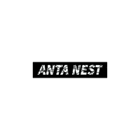 Antanest Sticker by antasportsofficial