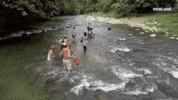 viceland GIF by JUNGLETOWN